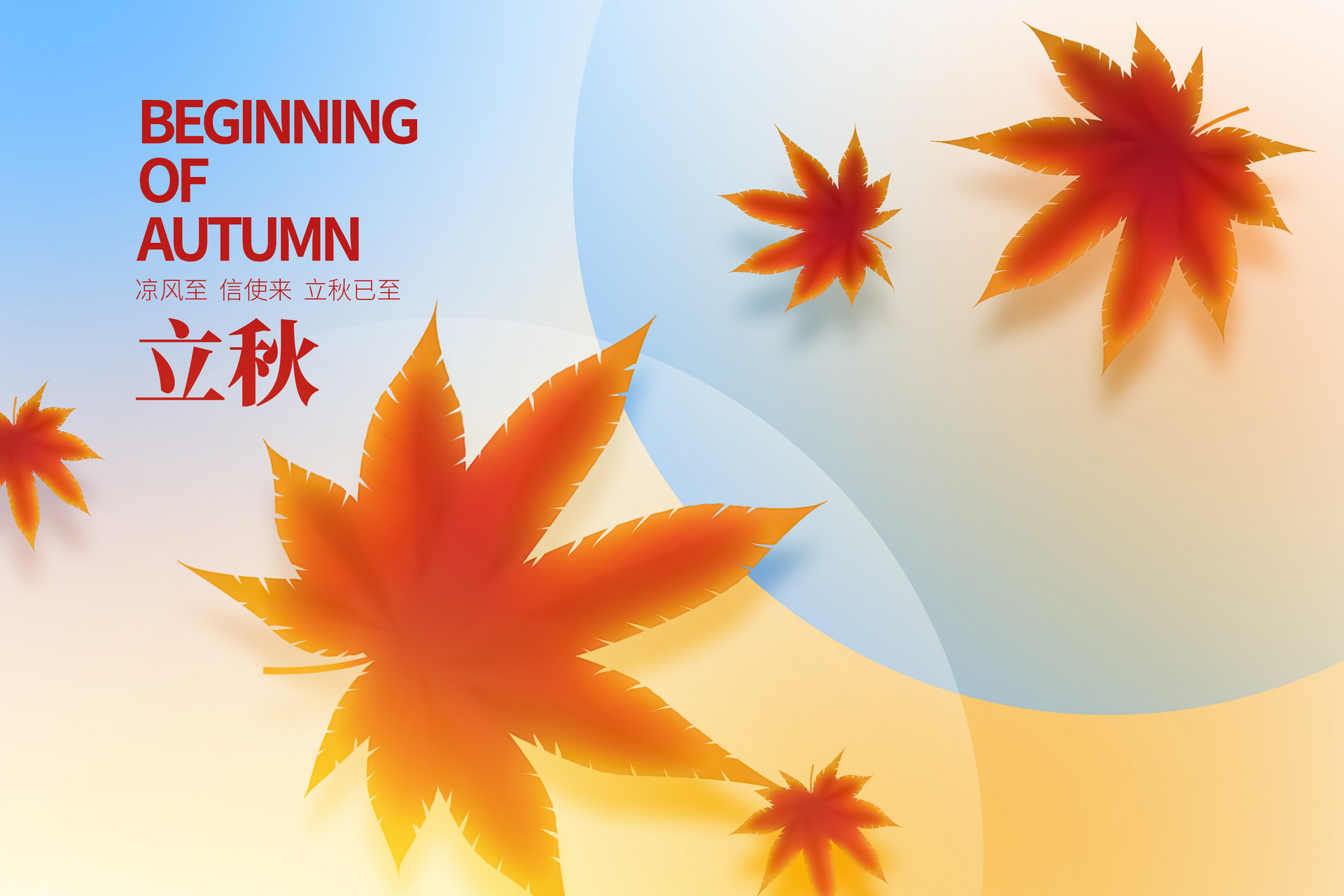 攝圖網_402628816_立秋唯美大氣創意楓葉(非企業商用).jpg